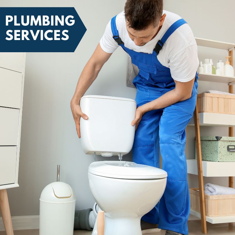 Plumbing Company in Wapella, IL